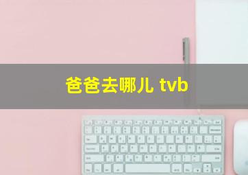 爸爸去哪儿 tvb